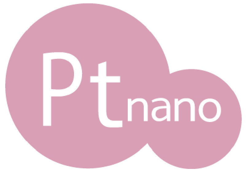 Pt nano ロゴ